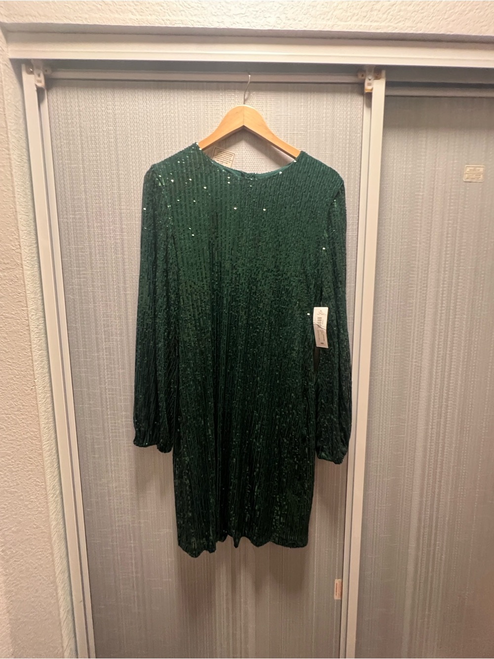 Women's Dark Green Long-Sleeve Sequin Shift Dress
